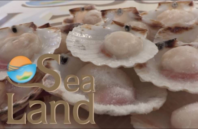 Pescheria Sea Land